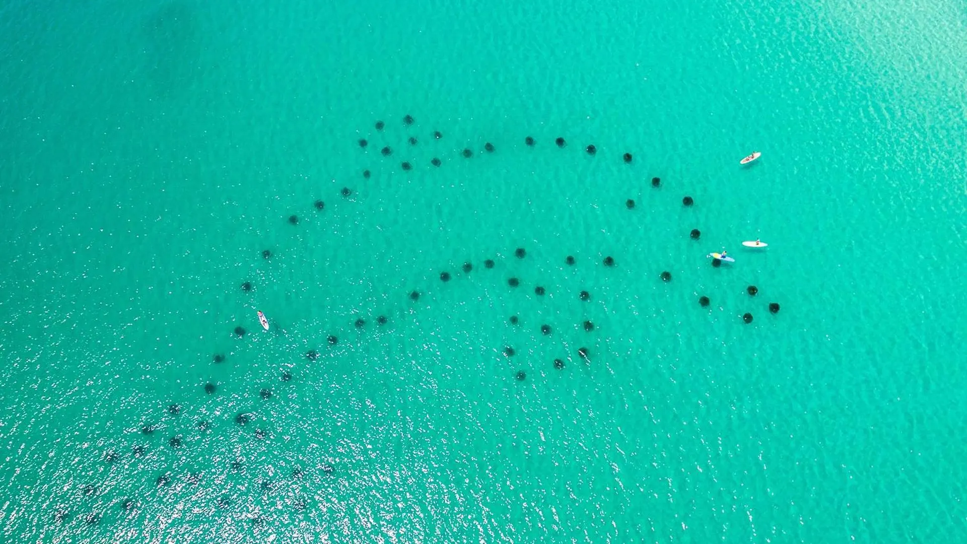 Harbor Landing 201A- By Holiday Isle Properties Destin United States